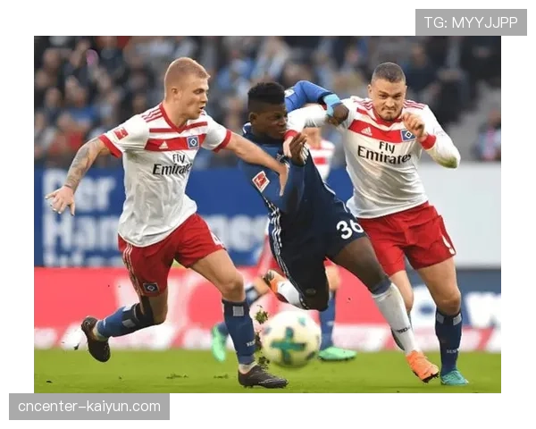 勒阿弗尔客场零比二不敌南特 扎瓦维乌龙送礼导致球队失利